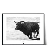 Poster El Toro, Valencia