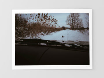 Bulgaria-enero, 2017