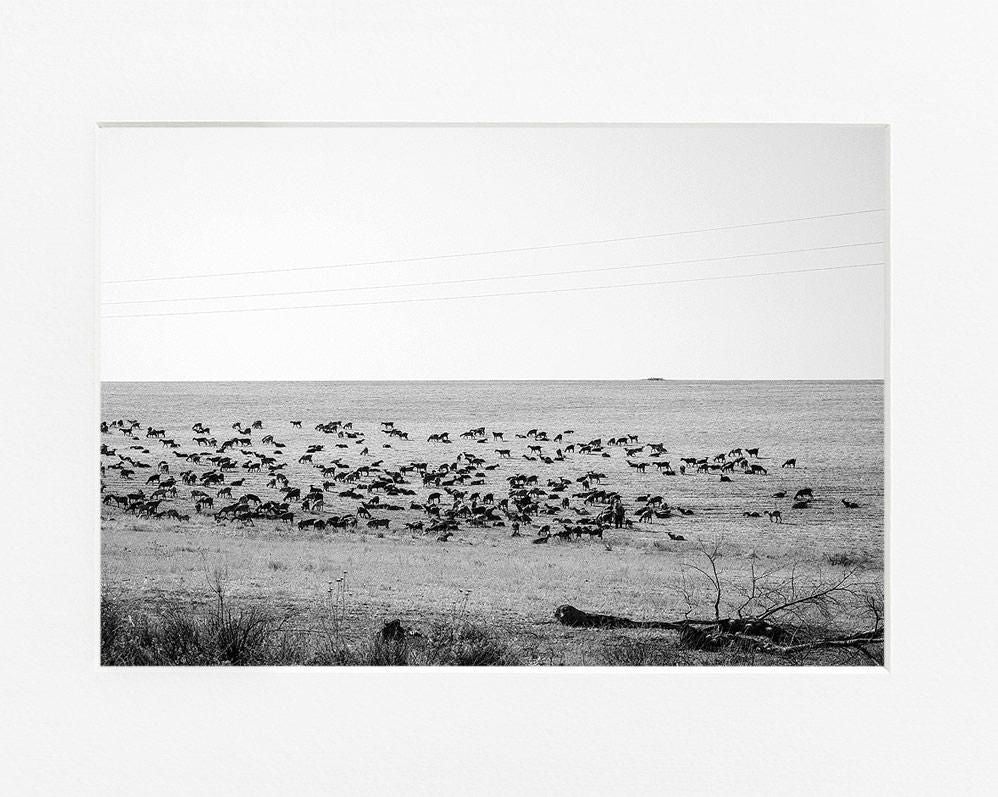 Ivailo Stanev-Álvarez-Andalucia-40x50 cm With White Passe-Partout-open editions-Monochrome Hub-Gallery for Fine Art Photography