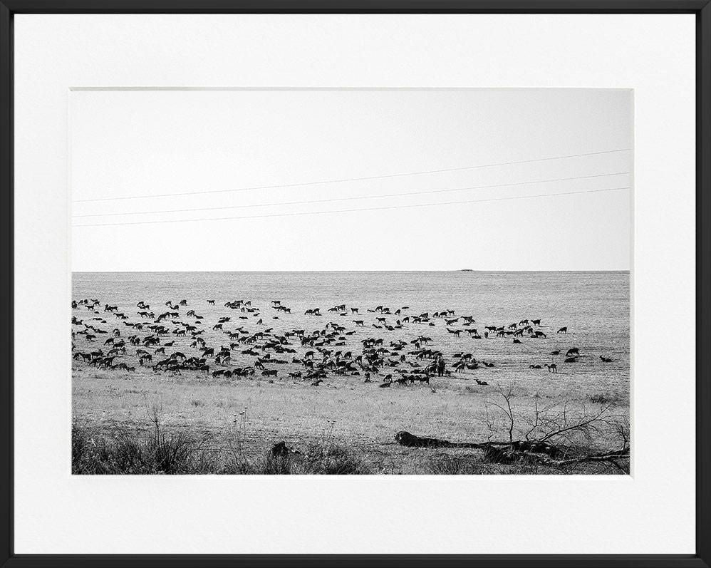 Ivailo Stanev-Álvarez-Andalucia-40x50 cm With Custom Black Aluminium Frame-open editions-Monochrome Hub-Gallery for Fine Art Photography