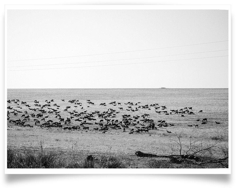 Ivailo Stanev-Álvarez-Andalucia--open editions-Monochrome Hub-Gallery for Fine Art Photography
