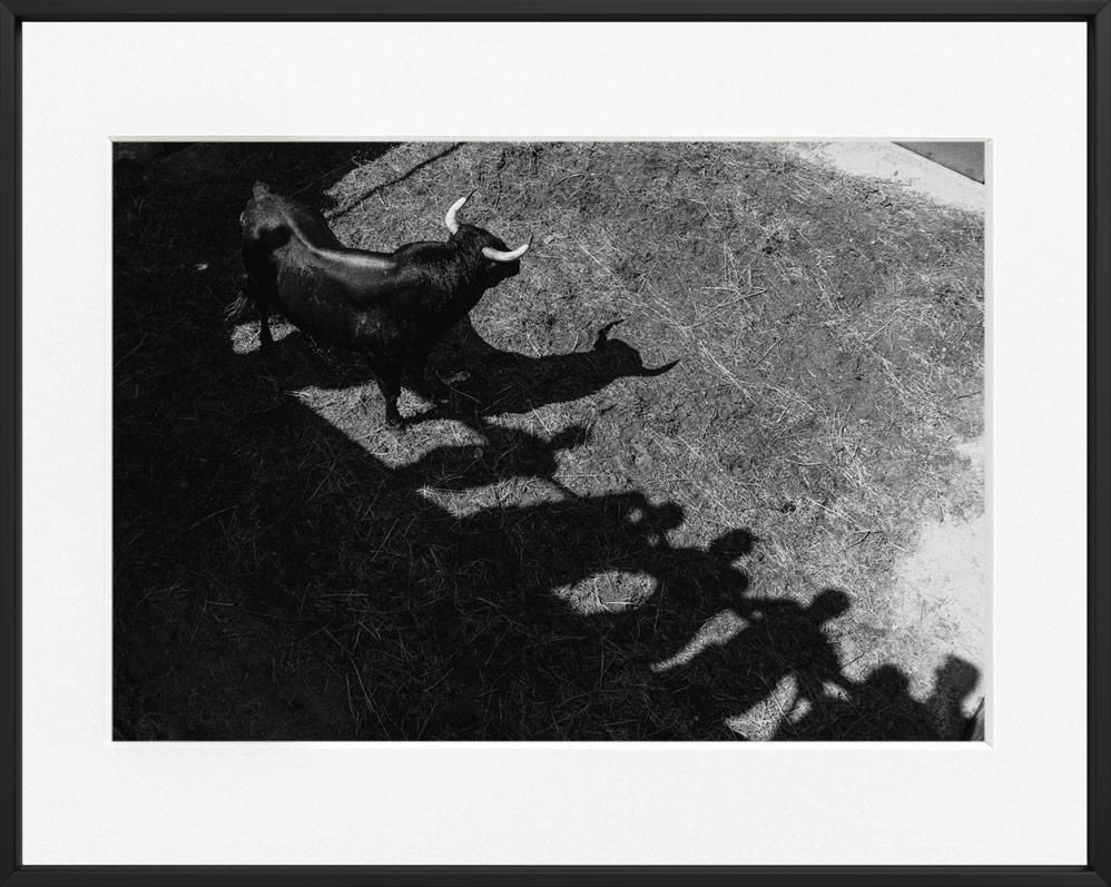 Ivailo Stanev-Álvarez-El toro, Utiel-40x50 cm With Custom Black Aluminium Frame-open editions-Monochrome Hub-Gallery for Fine Art Photography