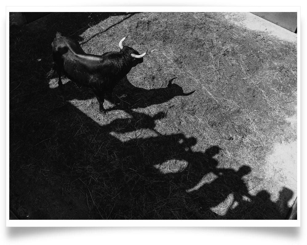 Ivailo Stanev-Álvarez-El toro, Utiel--open editions-Monochrome Hub-Gallery for Fine Art Photography