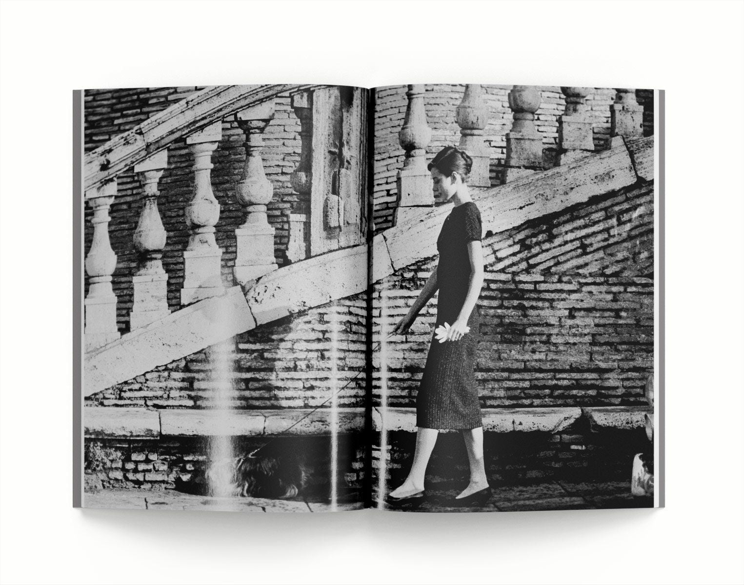 L. Damiani and L. Dotti-Audrey en Roma--Books-Monochrome Hub-Gallery for Fine Art Photography