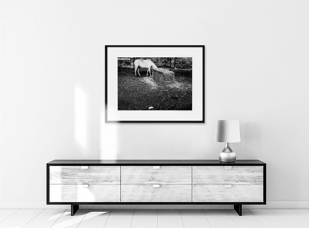 Aníbal Cáceres 'DANG3Rphotos'-WHITE HORSE-50x70 cm-limited editions-Monochrome Hub-Gallery for Fine Art Photography