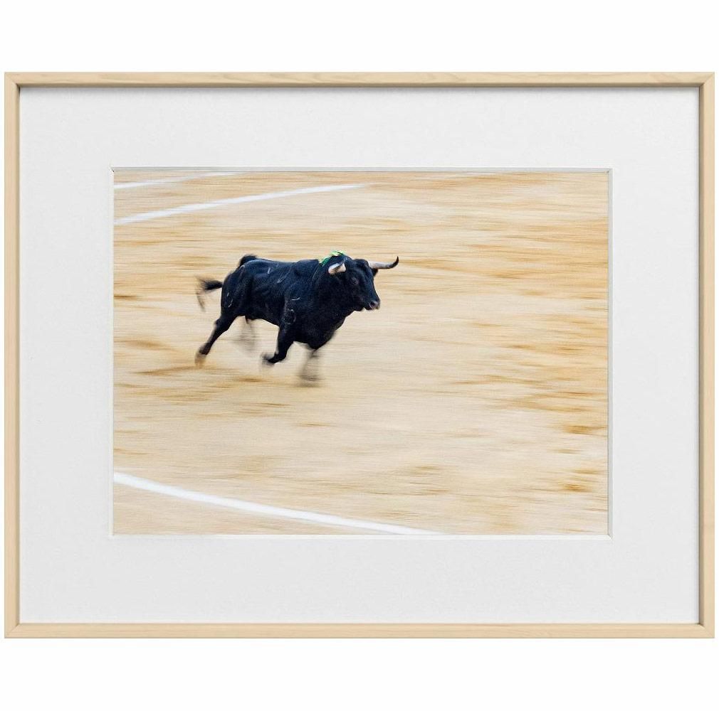 Ivailo Stanev-Álvarez-EL TORO-II--limited editions-Monochrome Hub-Gallery for Fine Art Photography