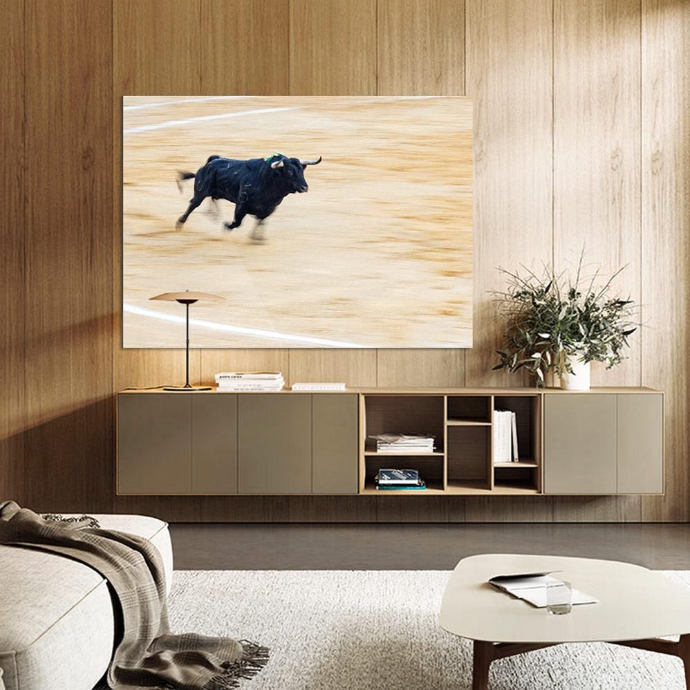 Ivailo Stanev-Álvarez-EL TORO-II--limited editions-Monochrome Hub-Gallery for Fine Art Photography