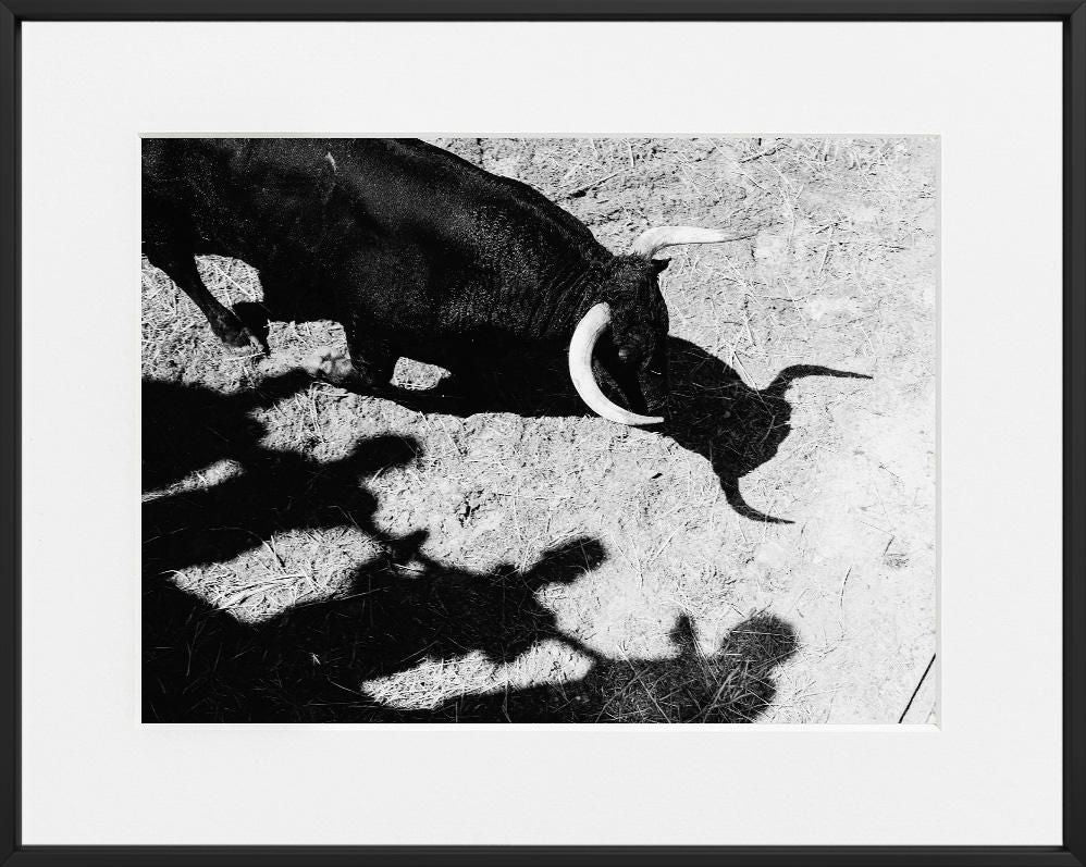 Ivailo Stanev-Álvarez-EL TORO, UTIEL--limited editions-Monochrome Hub-Gallery for Fine Art Photography