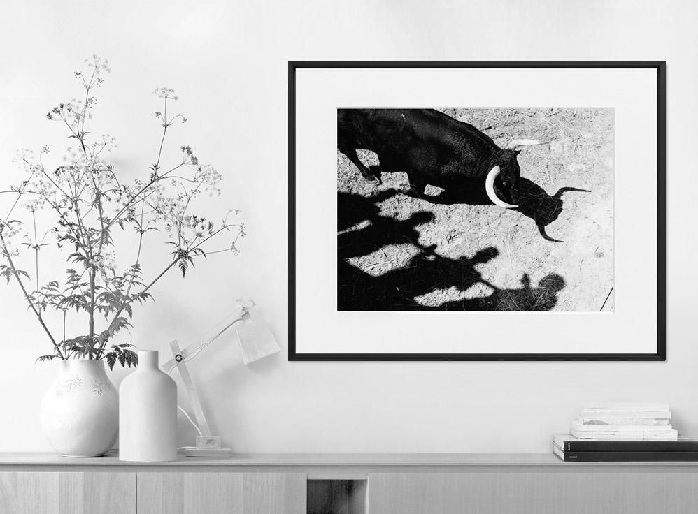 Ivailo Stanev-Álvarez-EL TORO, UTIEL-40x50 cm-limited editions-Monochrome Hub-Gallery for Fine Art Photography