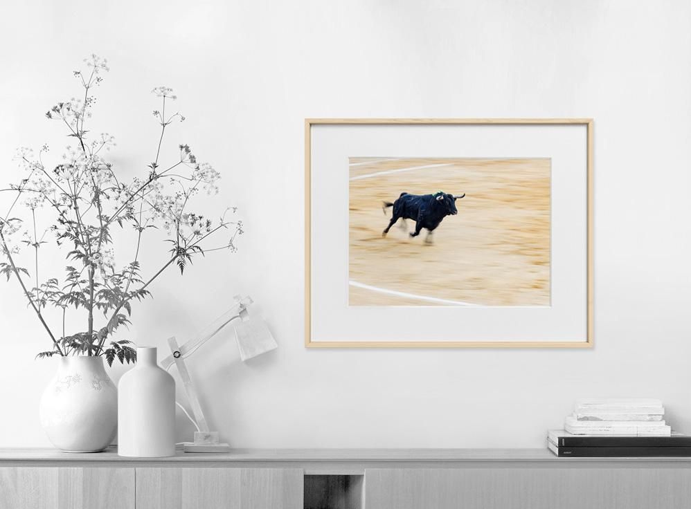 Ivailo Stanev-Álvarez-EL TORO-II-40x50 cm-limited editions-Monochrome Hub-Gallery for Fine Art Photography