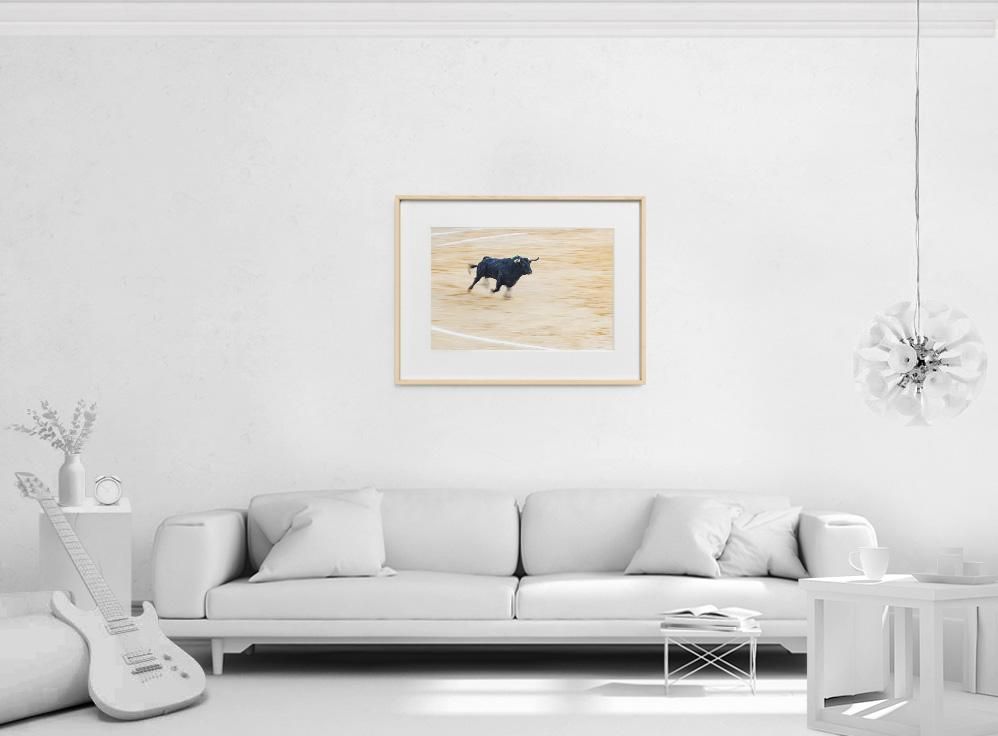 Ivailo Stanev-Álvarez-EL TORO-II-50x70 cm-limited editions-Monochrome Hub-Gallery for Fine Art Photography