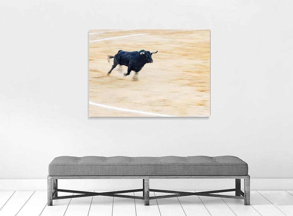 Ivailo Stanev-Álvarez-EL TORO-II-80x100 cm-limited editions-Monochrome Hub-Gallery for Fine Art Photography