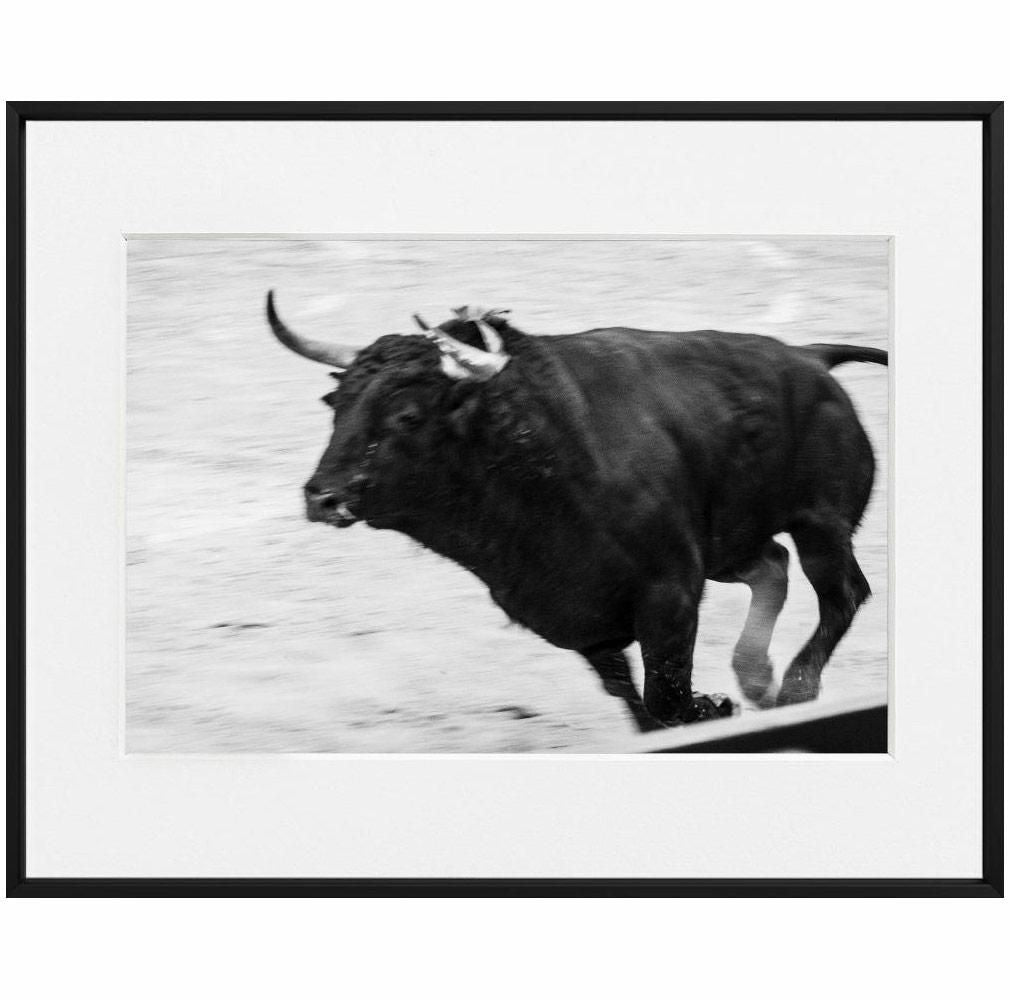 Ivailo Stanev-Álvarez-EL TORO--limited editions-Monochrome Hub-Gallery for Fine Art Photography