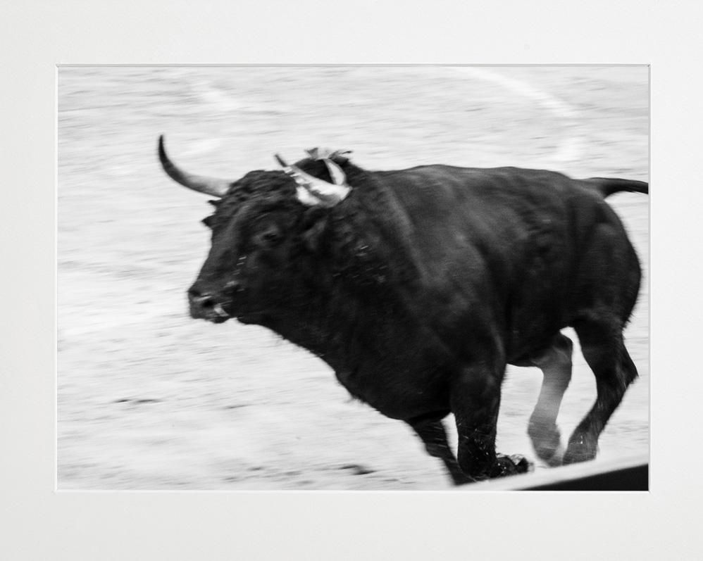 Ivailo Stanev-Álvarez-EL TORO--limited editions-Monochrome Hub-Gallery for Fine Art Photography