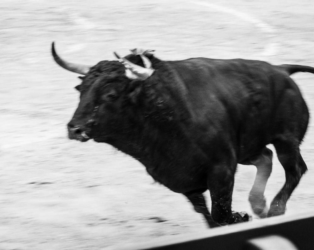 Ivailo Stanev-Álvarez-EL TORO-PRINT ONLY-42x60 cm-limited editions-Monochrome Hub-Gallery for Fine Art Photography