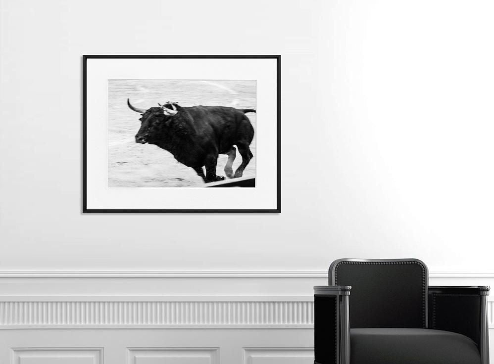 Ivailo Stanev-Álvarez-EL TORO-40x50 cm-limited editions-Monochrome Hub-Gallery for Fine Art Photography