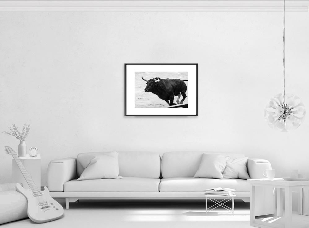 Ivailo Stanev-Álvarez-EL TORO-50x70 cm-limited editions-Monochrome Hub-Gallery for Fine Art Photography
