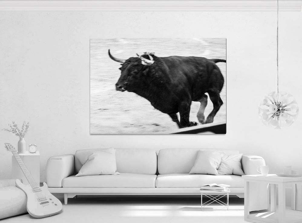 Ivailo Stanev-Álvarez-EL TORO-100x150 cm-limited editions-Monochrome Hub-Gallery for Fine Art Photography