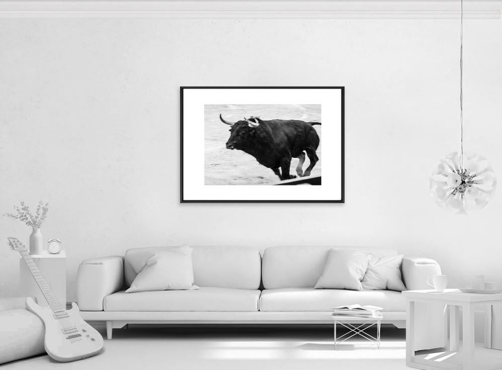 Ivailo Stanev-Álvarez-EL TORO-70x100 cm-limited editions-Monochrome Hub-Gallery for Fine Art Photography