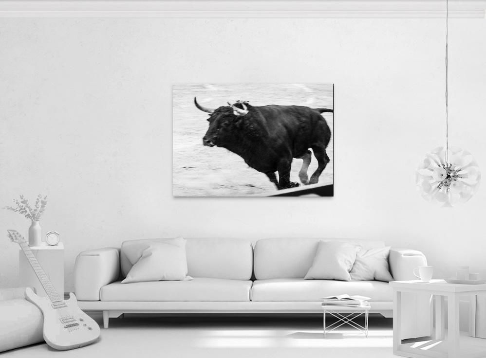 Ivailo Stanev-Álvarez-EL TORO-80x100 cm-limited editions-Monochrome Hub-Gallery for Fine Art Photography