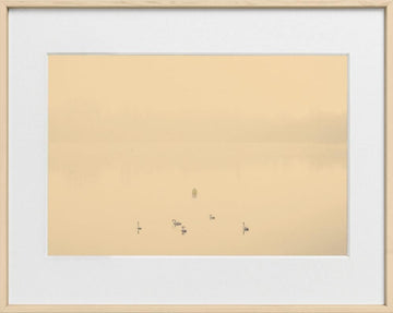 Nicolas Mithois-LAND THREE--limited editions-Monochrome Hub-Gallery for Fine Art Photography