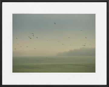 Nicolas Mithois-Land one--limited editions-Monochrome Hub-Gallery for Fine Art Photography