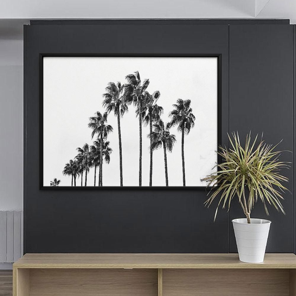 Monochrome Hub-PALMS-B&W--posters-Monochrome Hub-Gallery for Fine Art Photography