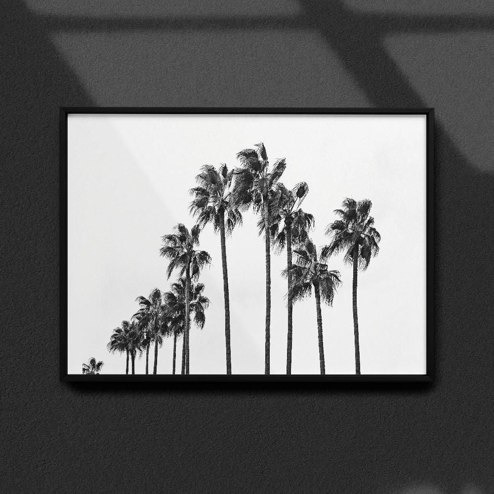 Monochrome Hub-PALMS-B&W--posters-Monochrome Hub-Gallery for Fine Art Photography