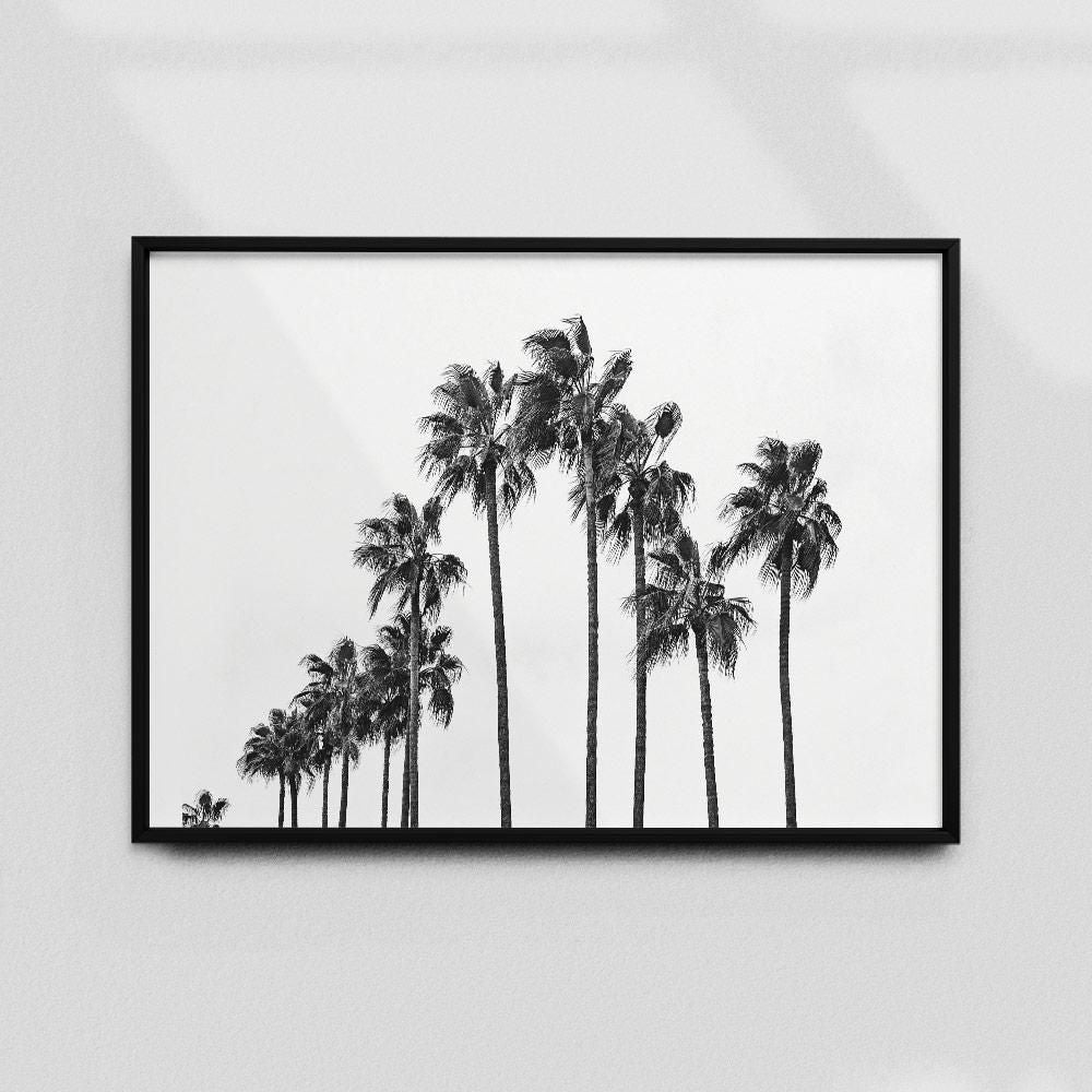 Monochrome Hub-PALMS-B&W-40x60 cm-posters-Monochrome Hub-Gallery for Fine Art Photography