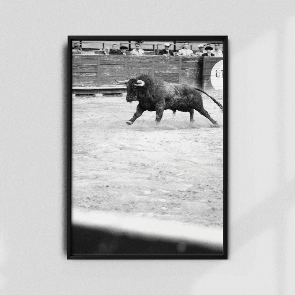 Monochrome Hub-TAUROMAQUIA-I-40x60 cm-posters-Monochrome Hub-Gallery for Fine Art Photography