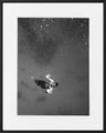 Ivailo Stanev-Álvarez-Underwater, Egypt-40x50 cm With Custom Black Aluminium Frame-open editions-Monochrome Hub-Gallery for Fine Art Photography