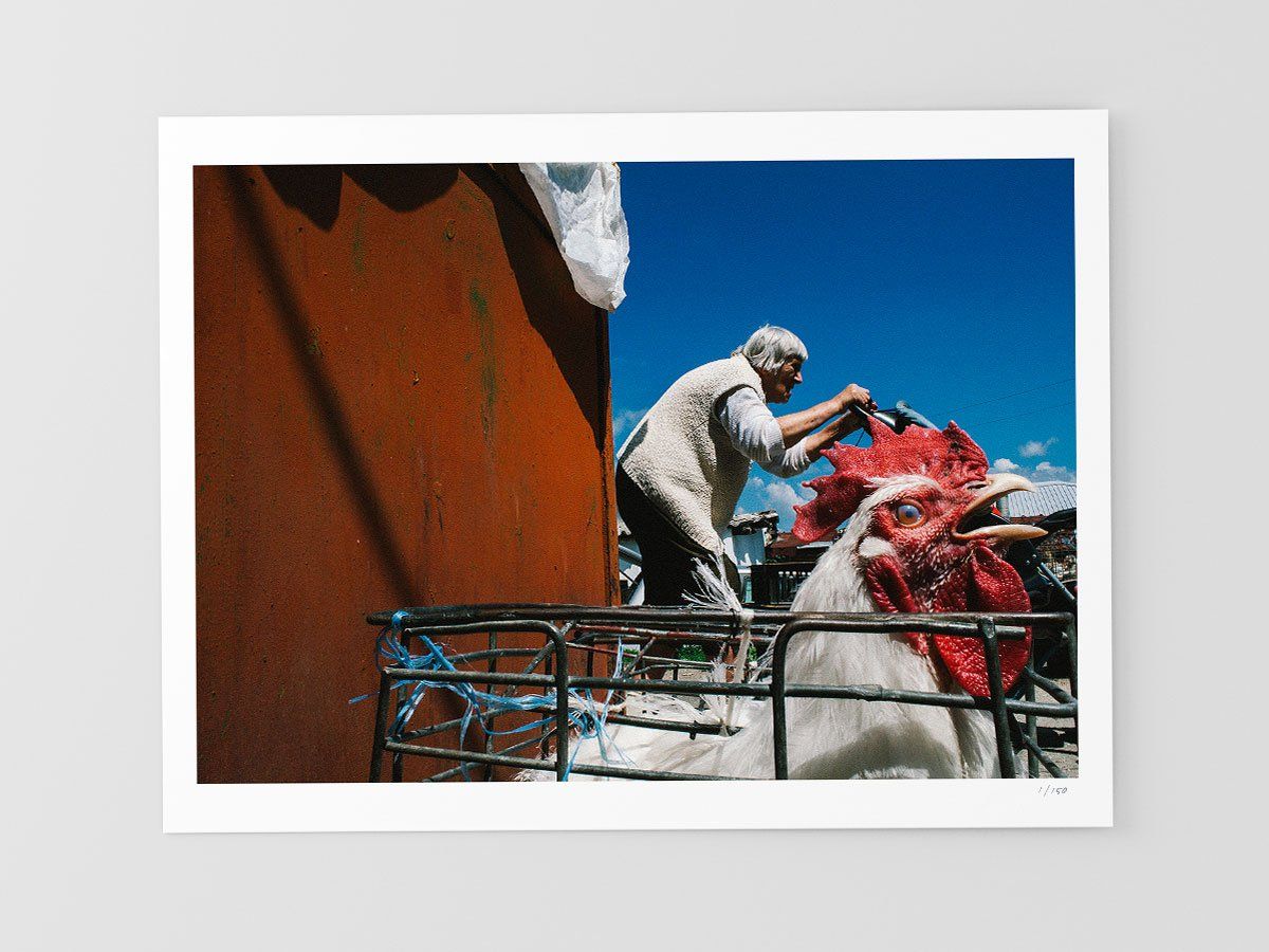 Svishtov, Bulgaria-mayo de 2017