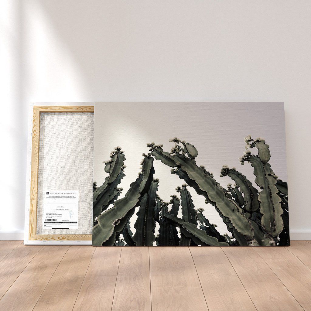 Monochrome Hub-CACTUS--canvas-Monochrome Hub-Gallery for Fine Art Photography