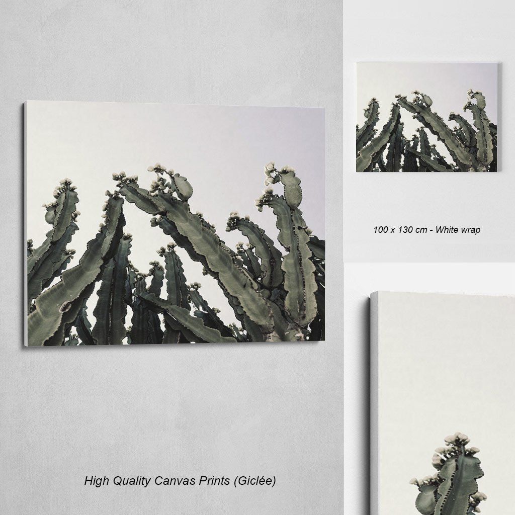 Monochrome Hub-CACTUS--canvas-Monochrome Hub-Gallery for Fine Art Photography