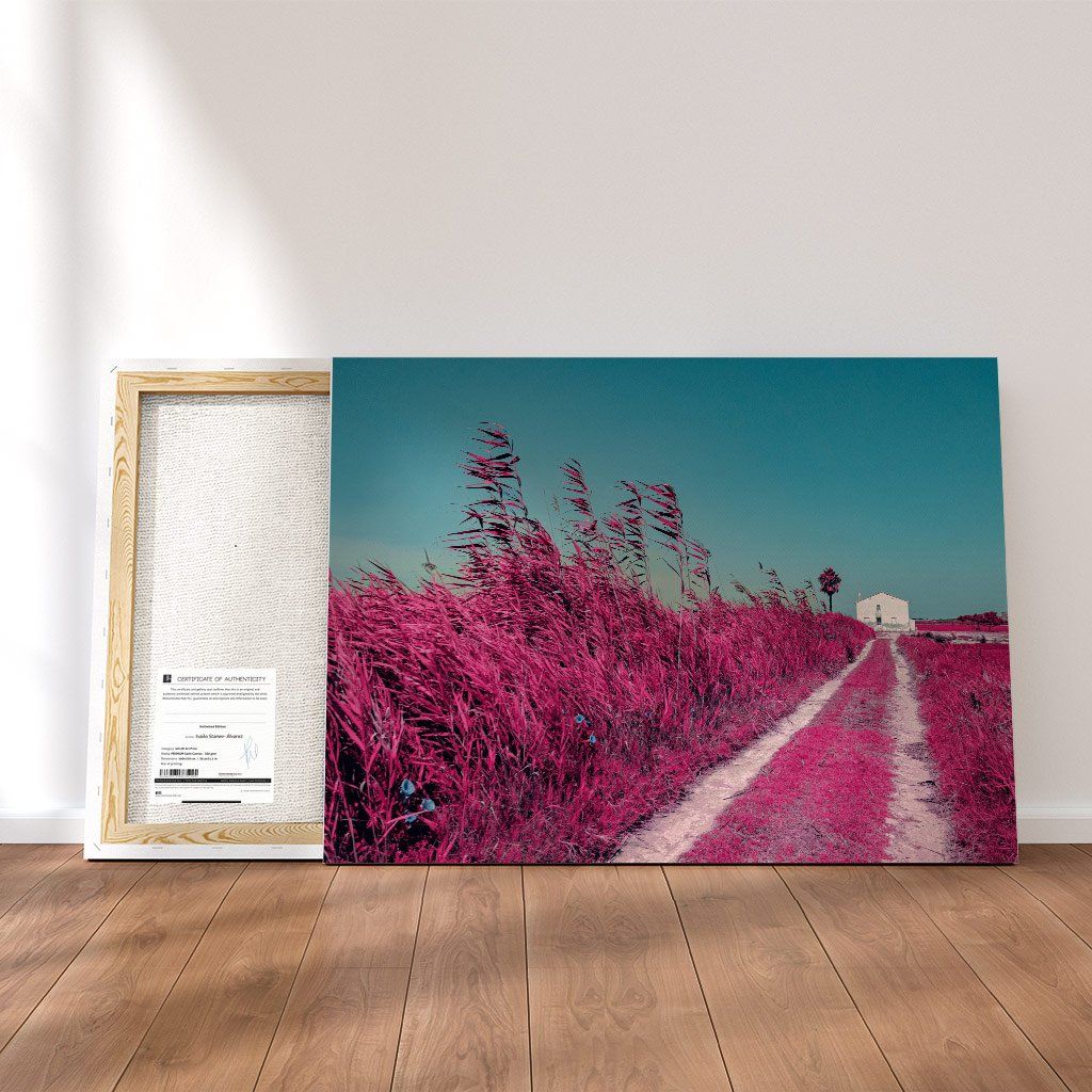 Monochrome Hub-IR REALITY--canvas-Monochrome Hub-Gallery for Fine Art Photography