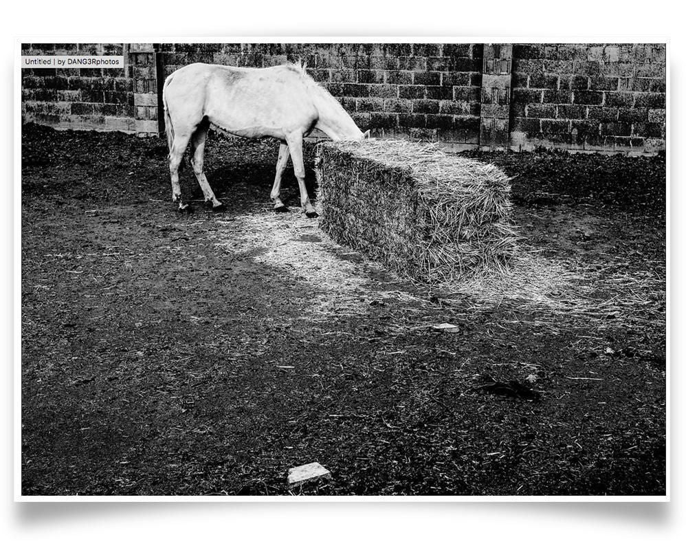 Aníbal Cáceres 'DANG3Rphotos'-WHITE HORSE-PRINT ONLY-42x60 cm-limited editions-Monochrome Hub-Gallery for Fine Art Photography