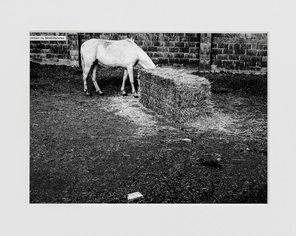 Aníbal Cáceres 'DANG3Rphotos'-WHITE HORSE--limited editions-Monochrome Hub-Gallery for Fine Art Photography