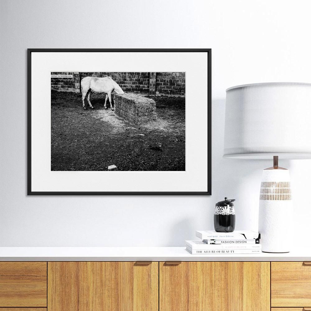 Aníbal Cáceres 'DANG3Rphotos'-WHITE HORSE--limited editions-Monochrome Hub-Gallery for Fine Art Photography