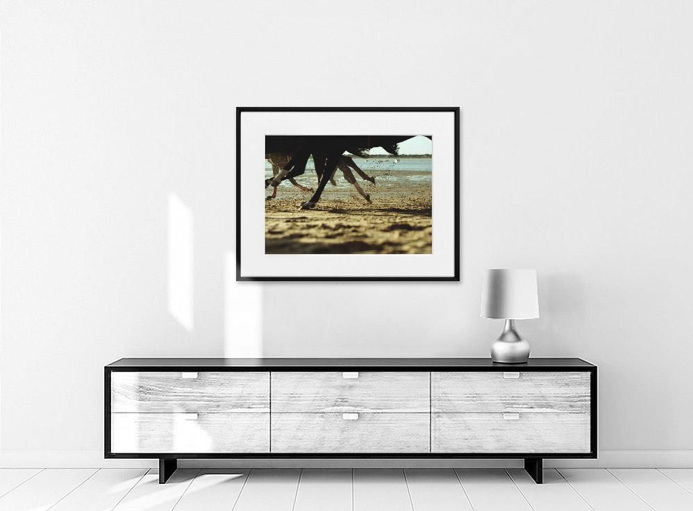 Aníbal Cáceres 'DANG3Rphotos'-HORSE-50x70 cm-limited editions-Monochrome Hub-Gallery for Fine Art Photography