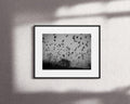 Nikola Balimezov-THE BIRDS--limited editions-Monochrome Hub-Gallery for Fine Art Photography
