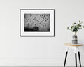 Nikola Balimezov-THE BIRDS--limited editions-Monochrome Hub-Gallery for Fine Art Photography
