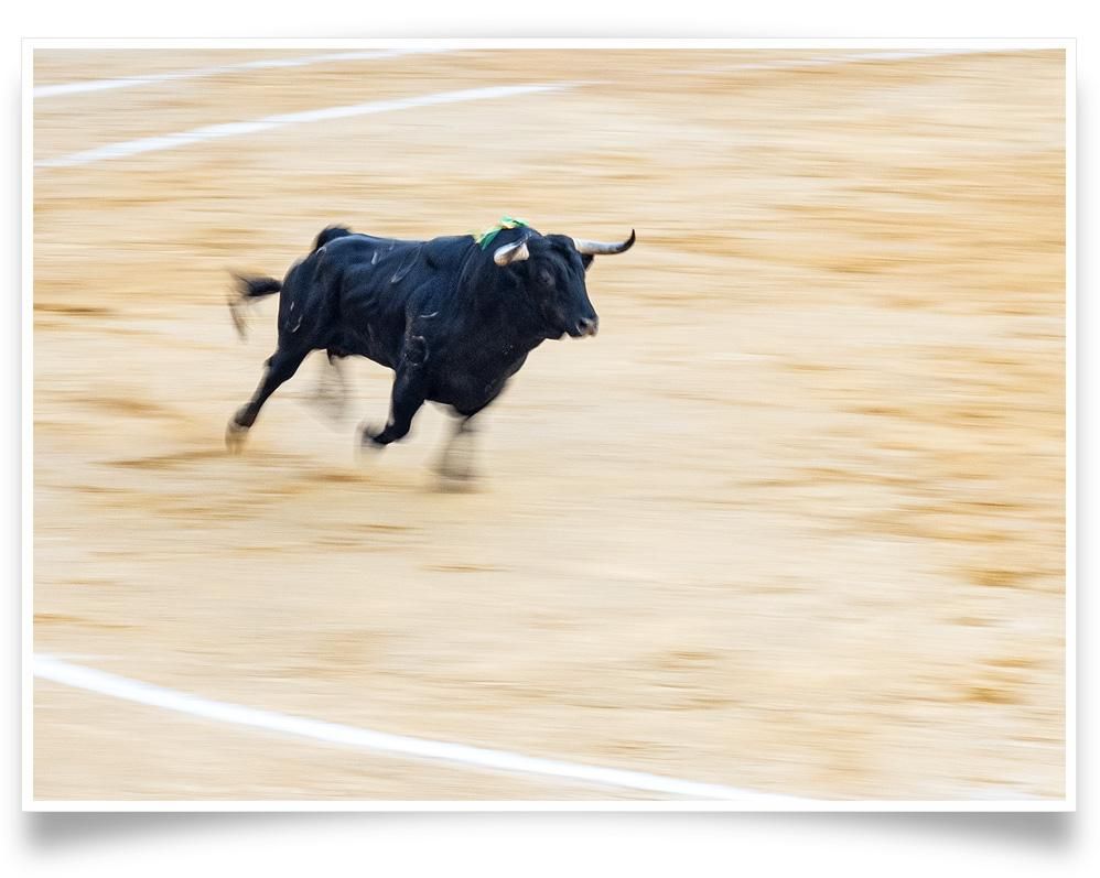 Ivailo Stanev-Álvarez-EL TORO-II-PRINT ONLY-42x60 cm-limited editions-Monochrome Hub-Gallery for Fine Art Photography