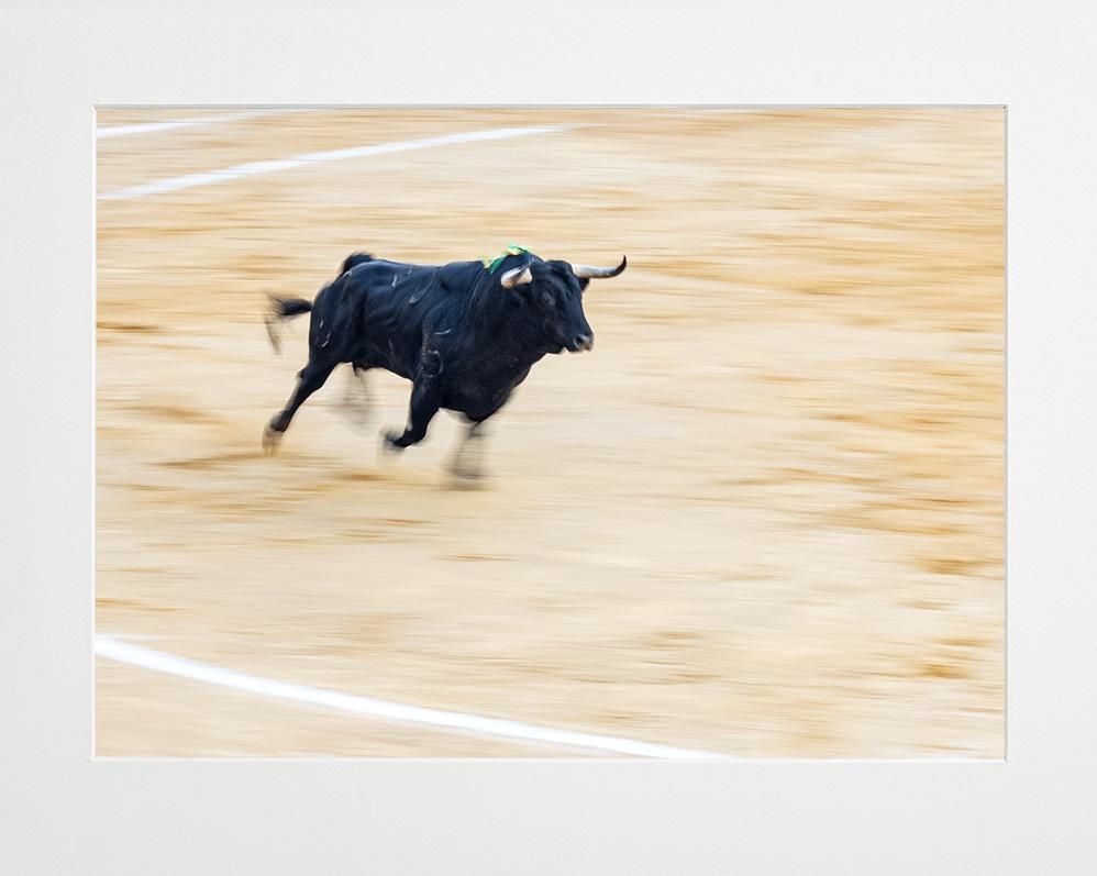 Ivailo Stanev-Álvarez-EL TORO-II--limited editions-Monochrome Hub-Gallery for Fine Art Photography