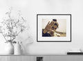 Ivailo Stanev-Álvarez-ESQUIRE COLLECTION-IV-40x50 cm-limited editions-Monochrome Hub-Gallery for Fine Art Photography