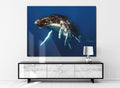 Martin Hristov-Humpback whales, Tonga-100x150 cm-limited editions-Monochrome Hub-Gallery for Fine Art Photography