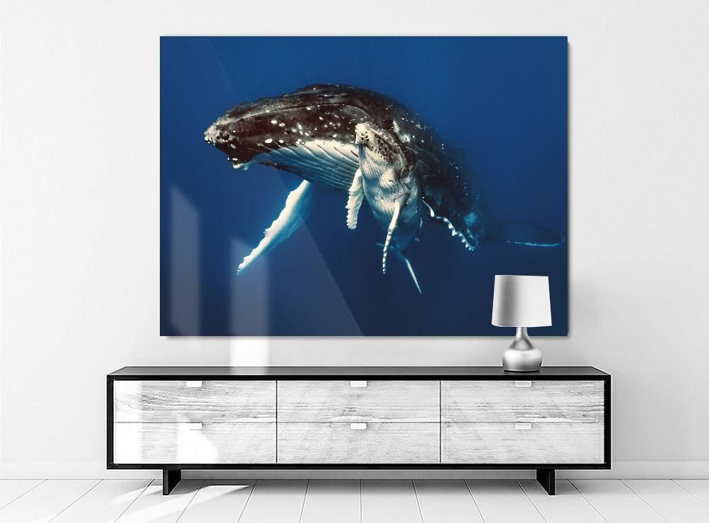 Martin Hristov-Humpback whales, Tonga-100x150 cm-limited editions-Monochrome Hub-Gallery for Fine Art Photography
