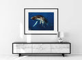 Martin Hristov-Humpback whales, Tonga-70x100 cm-limited editions-Monochrome Hub-Gallery for Fine Art Photography