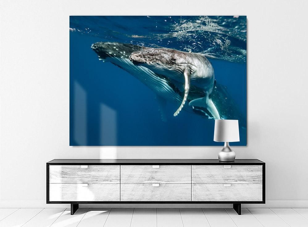 Martin Hristov-Humpback whales-II-Tonga-100x150 cm-limited editions-Monochrome Hub-Gallery for Fine Art Photography