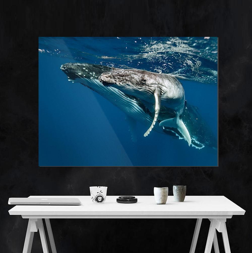 Martin Hristov-Humpback whales-II-Tonga--limited editions-Monochrome Hub-Gallery for Fine Art Photography