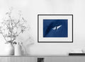 Martin Hristov-Blue depth-40x50 cm-limited editions-Monochrome Hub-Gallery for Fine Art Photography